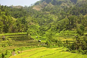 Terraced: Indonesia, Bali Province, Tulamben. Tukadabu