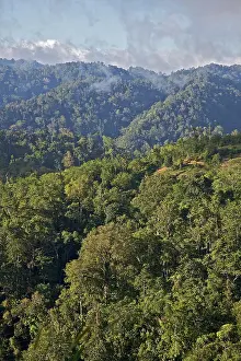 Connie: Indonesia, Central Sulawesi, UNESCO World