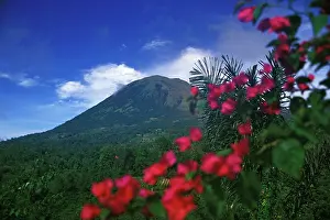 Selective: Indonesia, N. Sulawesi, Tomohon. Mt. Lokon