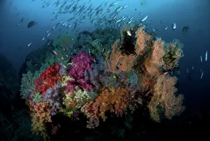 Misool: Indonesia, Papua, Raja Ampat. Scenic of