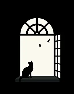 Window: Indoor cat silhouette at the window, wathing bir