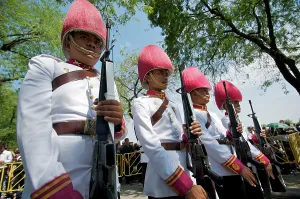 Brian Mcdairmant: Infantry guards at royal cremation of Princess