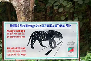 Information: Information Sign about the Tiger - UNESCO World