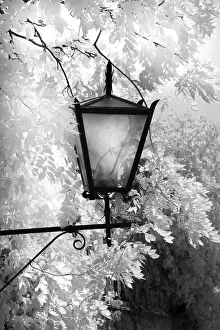Montalcino: Infra Red Black & White view of light fixture
