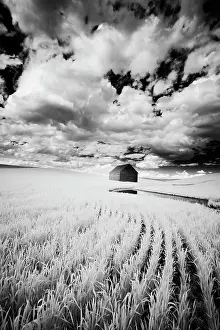 Palouse: Infrared Palouse fields and barn. (PR)