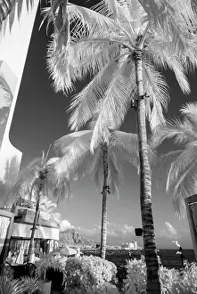 Hawaii: Infrared, Waikiki, Honolulu, Waikiki, Hawaii