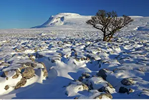 200617: Ingleborough seen from White Scars, North Yorkshire
