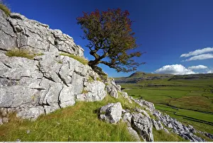 200617: Ingleborough viewed from Twistleton Scars, Yorkshire