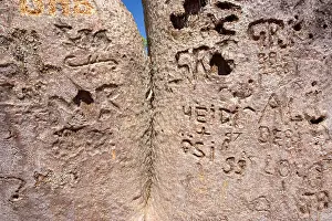 Boabs: Injured Baobab / Boab - This impressive specimen