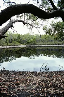 Quality: Ink Pot Lake, Australia