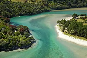 Foreshore: Inlet, Cooks Beach, Coromandel Peninsula