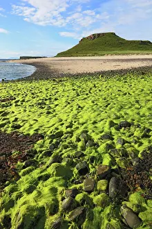 Skye: Inner Hebrides, Isle of Skye, Duirinish Peninsula