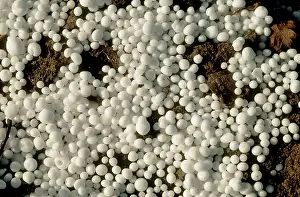 Methods: Inorganic fertilizer granules