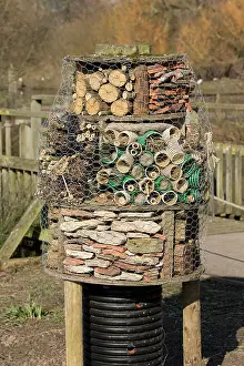 Materials: Insect or bug hotel built using a variety of materials