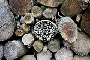Roll: Insect or bug hotel made from plastic bottle and