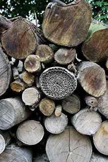 Roll: Insect or bug hotel made from plastic bottle and