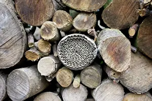 Roll: Insect or bug hotel made from plastic bottle and