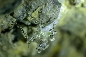 Humidity: Insect covered with mold and water in a cave, Cave