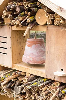 Private: Insect hotel in a garden France, Lorraine, Printemps