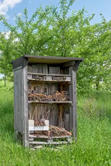Incubate: Insect hotel in a meadow, Rhineland-Palatinate