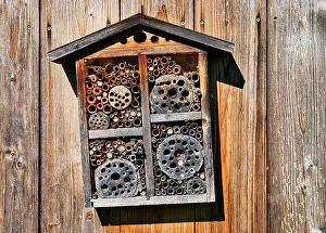 Incubate: Insect hotel on wooden wall, hanging at an angle