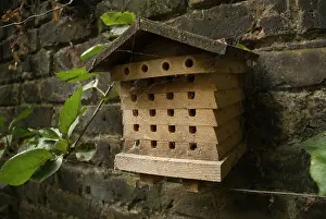 Recycling: Insect house