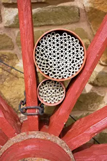 Ladybirds: Insect house - habitat with hollow tubes of varying