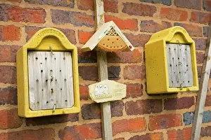 Ladybirds: Insect House - nesting and hibernation house with
