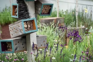 Issues: Insect shelter
