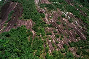 Inselberg: Inselberg - aerial view French Guiana forest