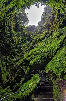Pipe: Inside the volcanic vent Algar do carvao Azores