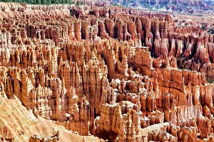 Label: Inspiration Point Lookout in the Bryce Canyon National