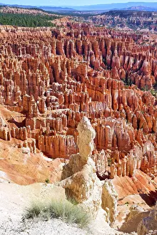 Label: Inspiration Point Lookout in the Bryce Canyon National