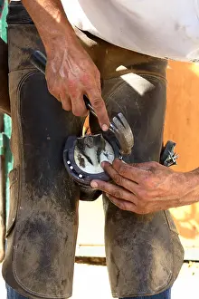 Hung: Installation of a horseshoe