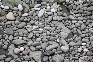 Scotia: Intertidal shore