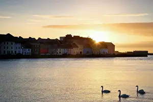 Dennis: Ireland, Claddagh. Sunrise on town and swans