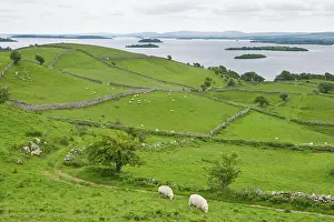 Lough: Ireland, County Mayo, Lough Carrib