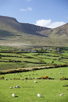 Marilyn: Ireland, Dingle Peninsula, landscape