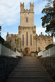 Railing: Ireland, Limerick. Entrance to St. Mary's