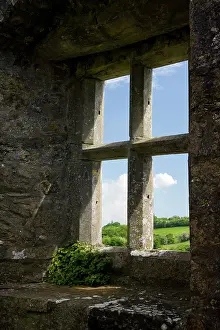 Mayo: Ireland, Mayo, Turlough. Looking out of