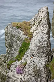 Eire: Ireland. Skellig Michael Island. Europe's