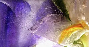 Iced: Iris