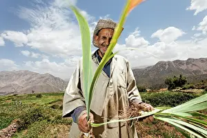 Workers: Iris