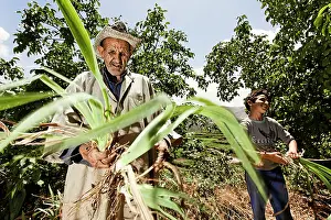Workers: Iris