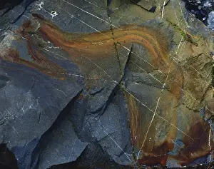 Basaltic: Iron-stained Rock