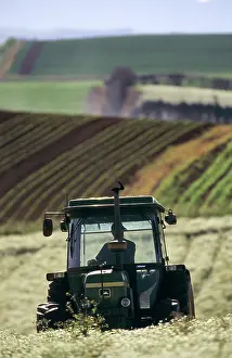 Irrigation: Irrigating pyrethrum
