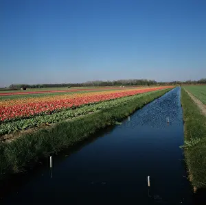 Dyke: Irrigation and drainage canal