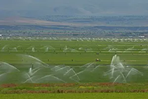 Fertile: Irrigation of fertile valley