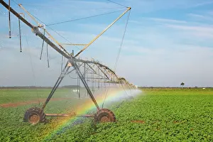 Watering: Irrigation system and rainbow. Cienfuegos province