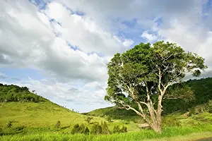 Cloudscape: Island landscape near Boulouparis, New Caledonia